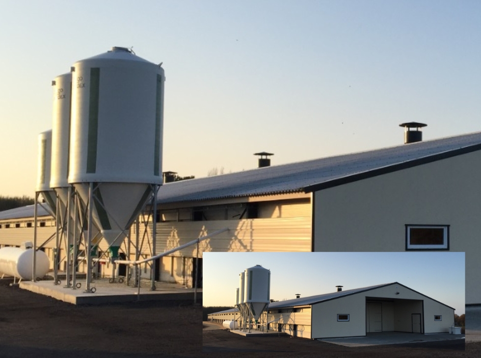 Rénovation ou extension de bâtiments agricoles poulailler